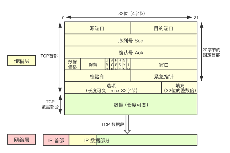 TCP 数据段
